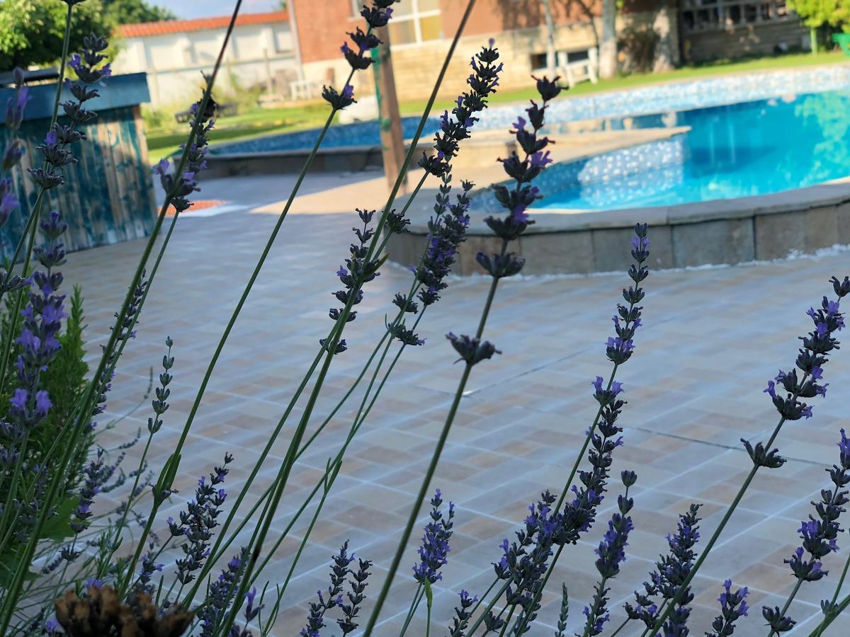 Galeria In The Garden Hotel Plovdiv Eksteriør billede